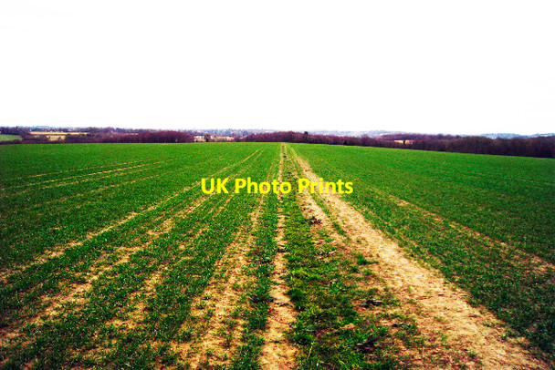 Photo 6"x4" Field near Little Iridge Farm Hurst Green\/TQ7327 c2009