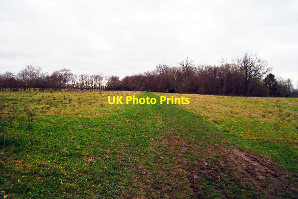Photo 6"x4" Field near Pond Bay Hurst Green\/TQ7327 c2009