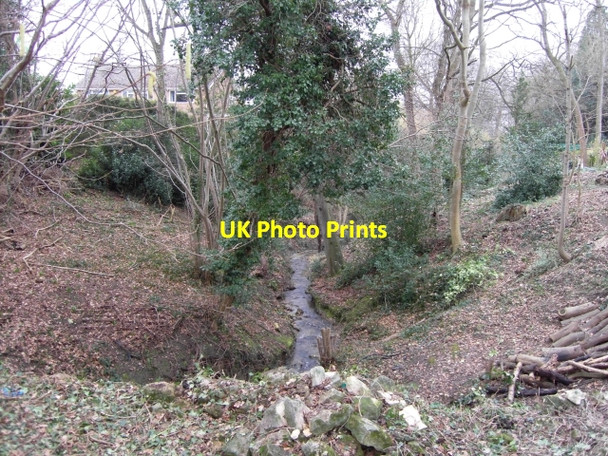 Photo 6"x4" Lilley Brook tributary stream Cheltenham c2009