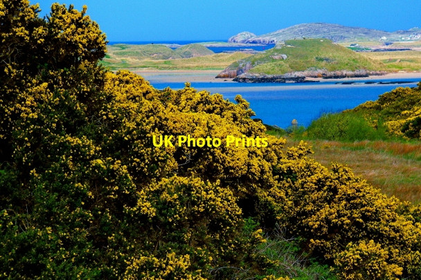 Photo 6"x4" Bunbeg Harbour Road - Road scene Bunbeg c2008 P1