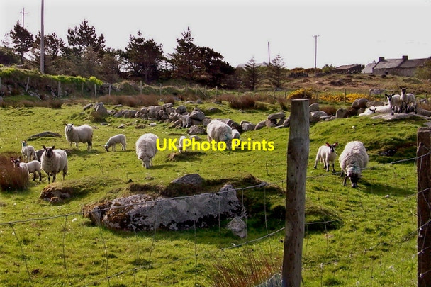 Photo 6"x4" R257 road scene between Glassagh & Derrybeg Carrick\/B8128 c2008
