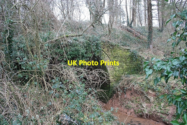 Photo 6"x4" Aqueduct near Staplow Staplow c2009