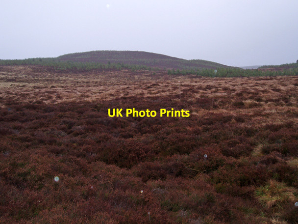 Photo 6"x4" Tom Mor Foregin c2009