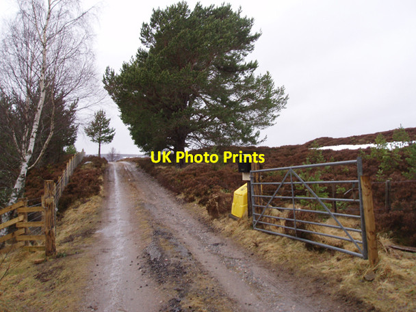 Photo 6"x4" Foregin road end Foregin c2009