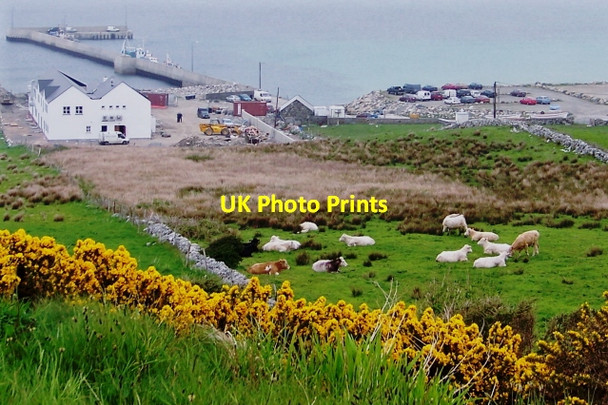 Photo 6"x4" Meenlaragh - Hillside and pier Meenlaragh c2008