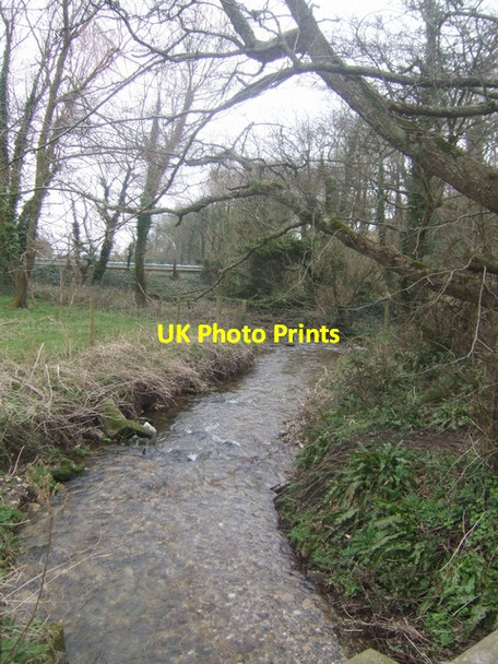Photo 6"x4" Stream flowing into Branscombe Mouth Vicarage c2009