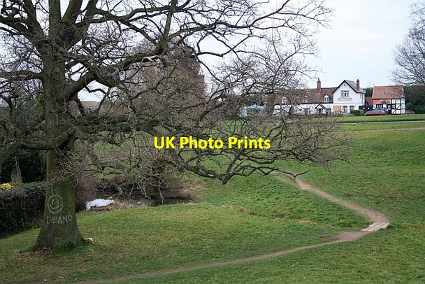 Photo 6"x4" The Bluebell and Deano's tree, Barnard's Green Great Malvern c2009