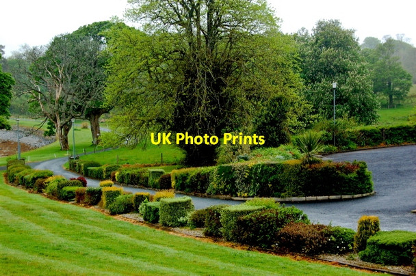 Photo 6"x4" Road from Capuchin Friary just south of Ard's Forest Downies\/C1038 c2008