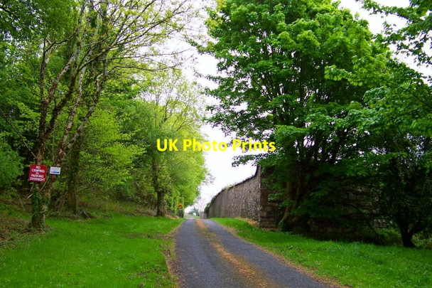 Photo 6"x4" Road to Capuchin Friary south of Ard's Forest Downies\/C1038 c2008
