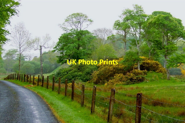 Photo 6"x4" Road from Capuchin Friary south of Ard's Forest Creeslough c2008 P1