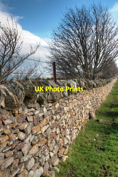 Photo 6"x4" Wall, Howlea Lane Upper Town\/NZ0737 c2009