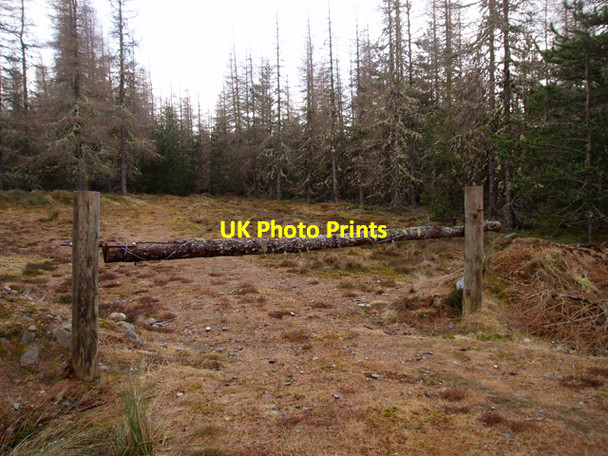 Photo 6"x4" Entrance to Cragganmore Wood Auchnagallin c2009