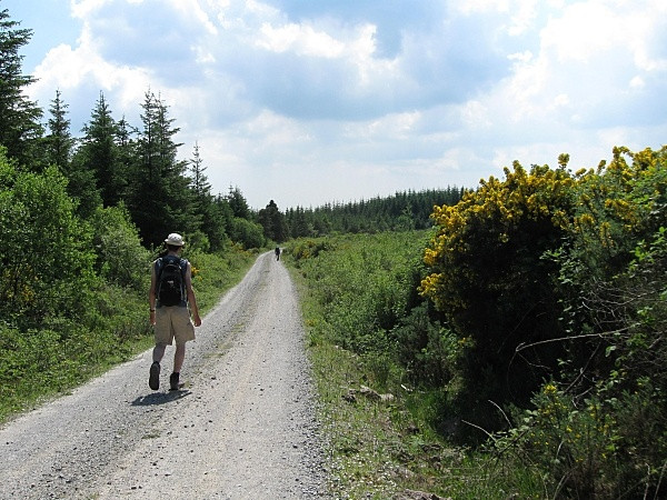 Photo 6"x4" Hot Hiking Kilworth c2009