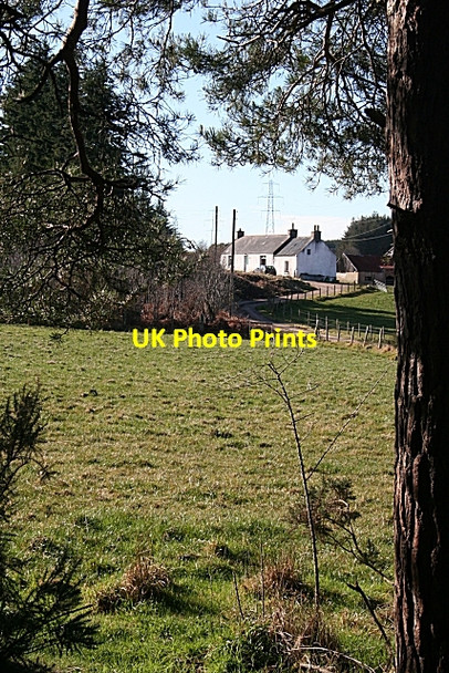 Photo 6"x4" Redbog Farm Cranloch\/NJ2858 c2009
