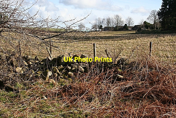 Photo 6"x4" Strypes Farm Cranloch\/NJ2858 c2009