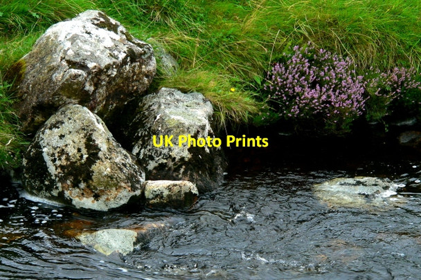 Photo 6"x4" Poison Glen - Rocks & heather along stream at bridge Money Beg c2005