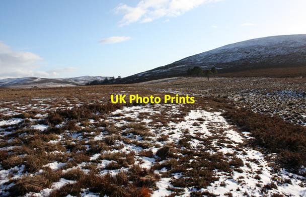 Photo 6"x4" Moorland near Lochenoun Knock of Braemoray c2009