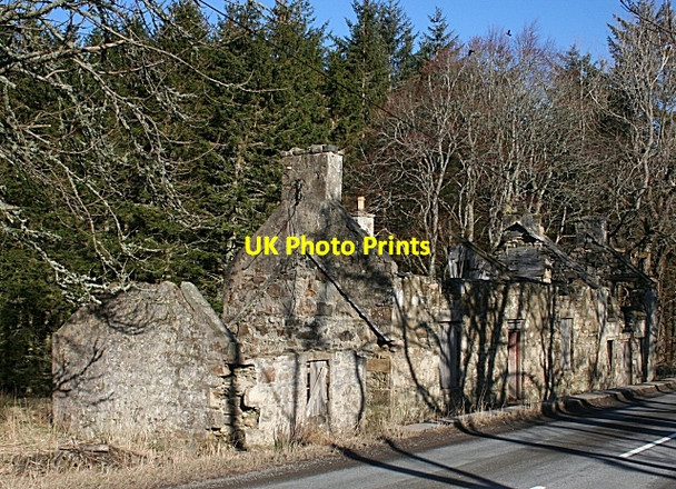 Photo 6"x4" Roadside Ruin Haugh of Glass c2009
