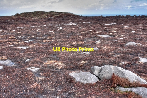 Photo 6"x4" Tumulus, Hob on the Hill Commondale c2009