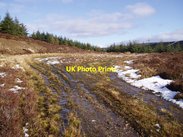 Photo 6"x4" End of track above Gleann Seileach Ruthven\/NH8133 c2009