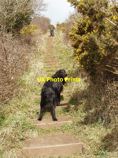Photo 6"x4" Steps on coast path above Branscombe Mouth Vicarage c2009