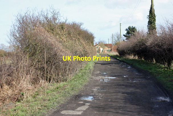 Photo 6"x4" The lane to Cherry Tree cottage Beverley c2009