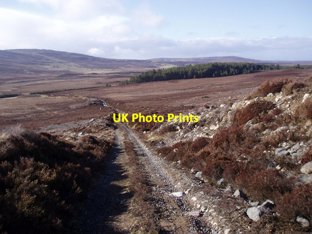Photo 6"x4" Track on Carn na Glaisneach Anaboard Burn c2009