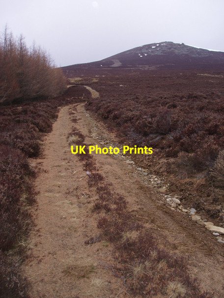 Photo 6"x4" Track to Ben Rinnes Clash Wan c2009