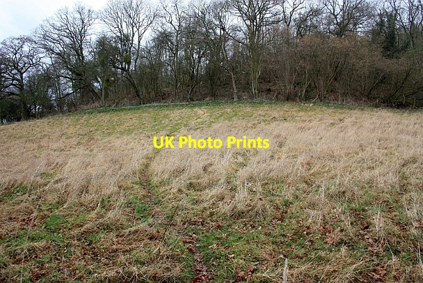 Photo 6"x4" Animal tracks to Red Hill Coppice Ullingswick c2009