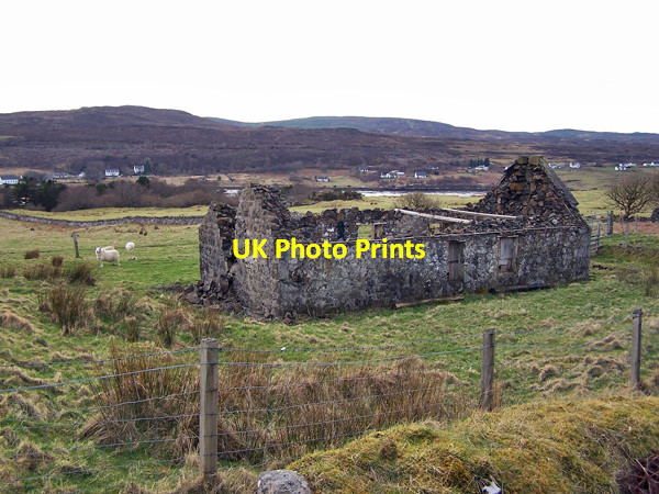 Photo 6"x4" Derelict building, Tote Tote c2009