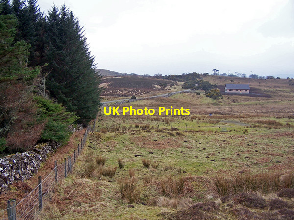 Photo 6"x4" Building plots near Lyndale Suledale c2009 P1
