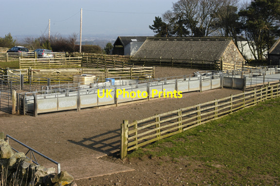 Photo 6"x4" Sheep pens, Castlelaw Farm Woodhouselee c2009
