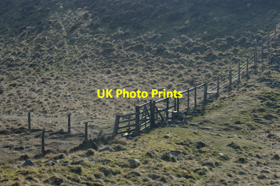 Photo 6"x4" Fence and Gate Windy Nook Boghall\/NT2465 c2009
