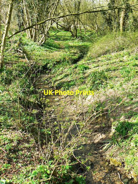 Photo 6"x4" Thunder Brook, downstream, Wootton Bassett Wootton Bassett c2009