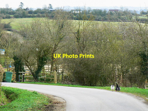 Photo 6"x4" The road to Braydon Side Braydon Side c2009