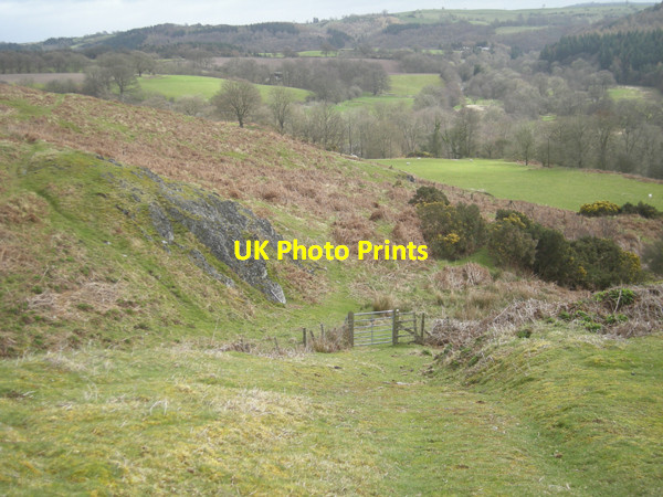 Photo 6"x4" Footpath to Priors Holt Plowden c2009
