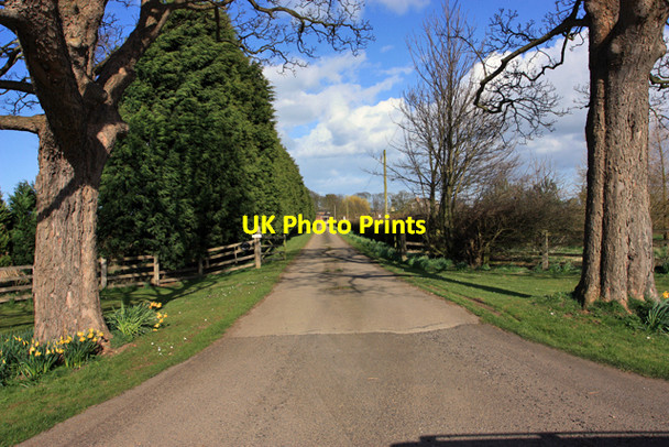 Photo 6"x4" The lane to Ulrome Grange Lissett c2009