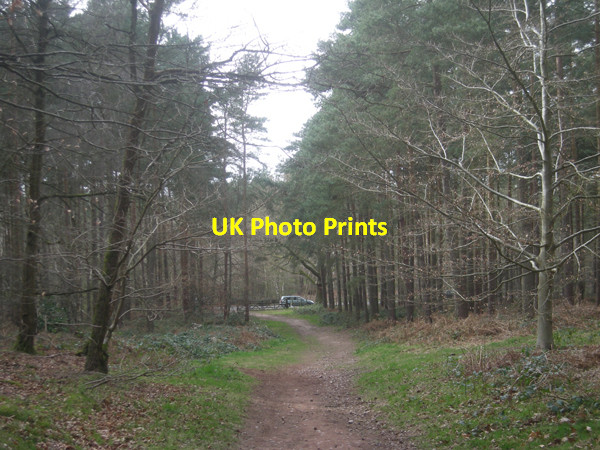 Photo 6"x4" Footpath through 'The Million'. Enville c2009