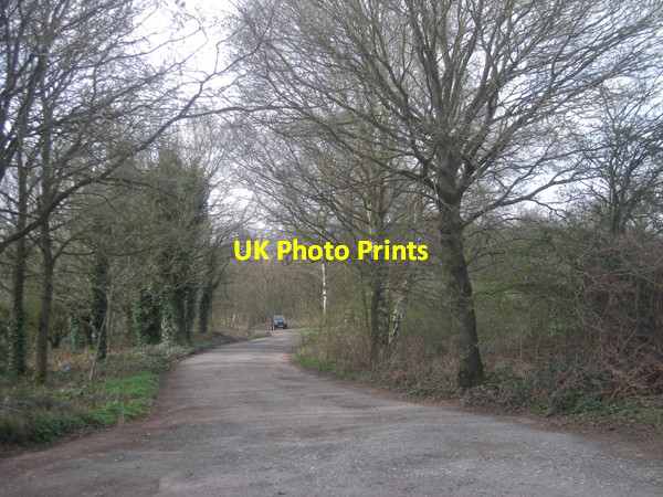 Photo 6"x4" Entrance to the car park Gospel Ash c2009