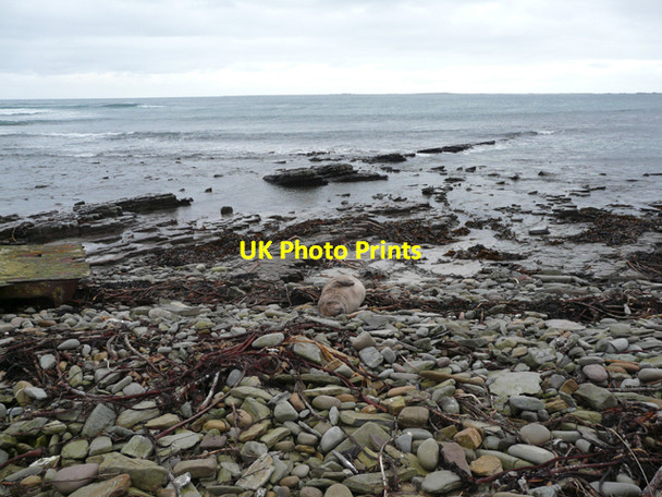 Photo 6"x4" Shore south of Whitemill Point Burness\/HY6644 c2008
