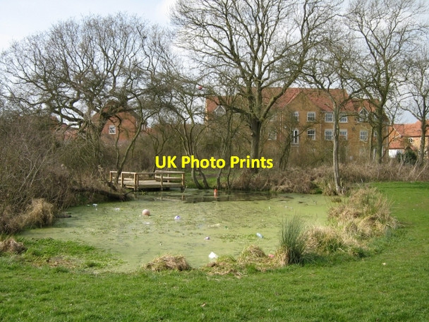Photo 6"x4" Pond life Medbourne\/SP8236 c2009