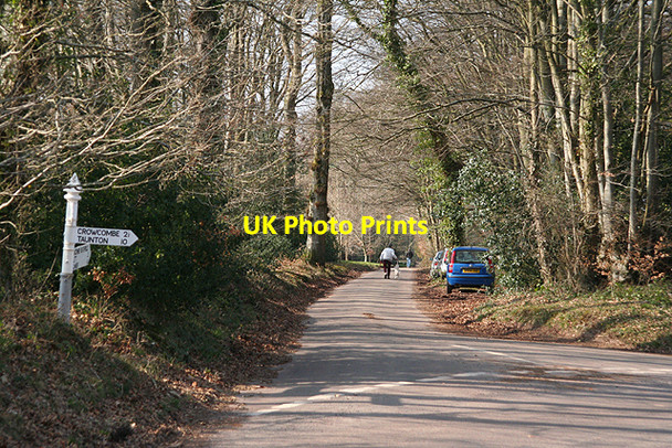 Photo 6"x4" Crowcombe: Crowcombe Heathfield Coursley c2009