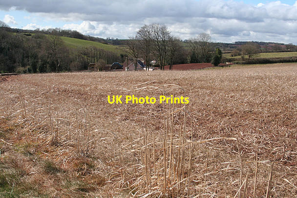 Photo 6"x4" Lydeard St Lawrence: towards Coursley Coursley c2009