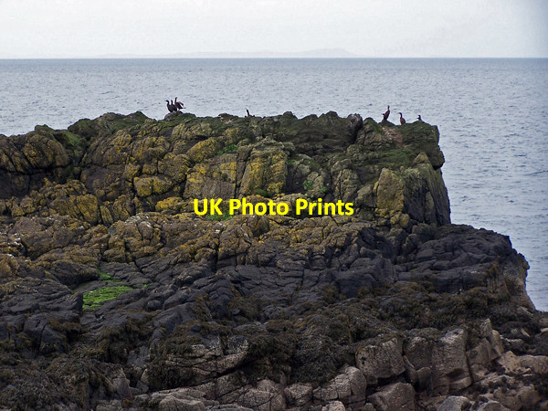 Photo 6"x4" Shags on Lampay Claigan\/NG2353 c2009
