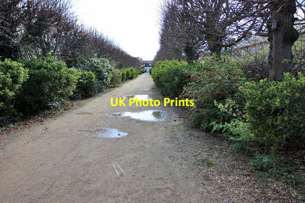 Photo 6"x4" The lane to Mill Road Cambridge\/TL4658 c2009