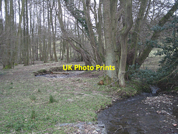 Photo 6"x4" Stream near Minton Minton c2009