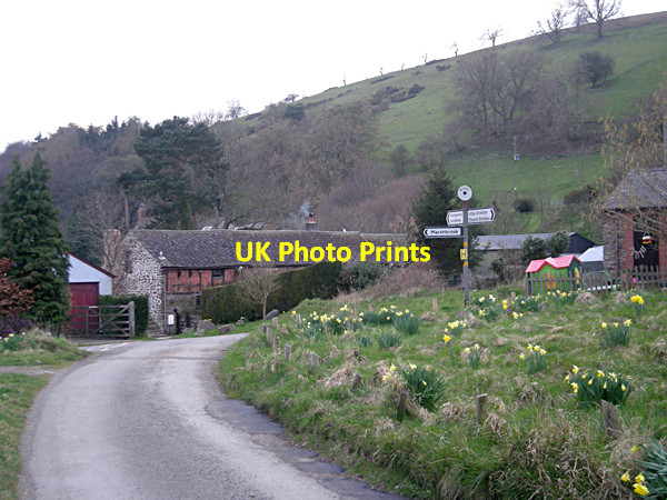 Photo 6"x4" Minton centre Minton c2009