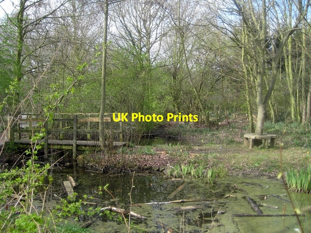 Photo 6"x4" Stanley Marsh Nature Reserve Stanley\/SE3424 c2009