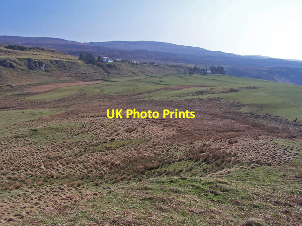 Photo 6"x4" Grazing land at Bay Bay\/NG2653 c2009
