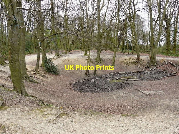 Photo 6"x4" The Dip, Blackhouse Wood Dunsden Green c2009
